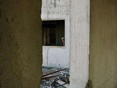 photograph “I.2012” par David Farreny — www.farreny.net — France, chantier, construction, site, béton, concrete, fenêtres, windows, étais, étançons, stays, props, struts, métal, metal, gris, grey, gray, Occitanie, Aveyron, Rouergue, Rodez, Bourran