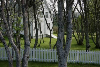 photograph “VII.2014 — Run away to the North, 94” par David Farreny — www.farreny.net — Norvège, Norway, Norge, Nord-Norge, Nordland, Lofoten, Vestvågøy, Borg, maison, house, bois, wood, clôture, fence, arbres, trees, herbe, grass, profusion, troncs, trunks, carte postale, postcard