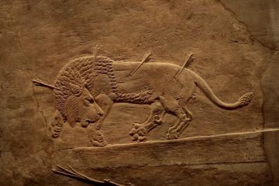 photograph “X.2010 — Lion hunting, 1” par David Farreny — www.farreny.net — Royaume-Uni, United Kingdom, Angleterre, England, GB, UK, British Museum, Londres, London, Assyrie, Assyria, VIIe siècle av. J.-C., 7th century BC, Nimrod, palais, palace, roi, king, Ashurbanipal, bas-relief, low relief, sculpture, pierre, stone, chasse, hunting, hunt, hunts, lion, royales, royal, mort, death, flèches, arrows, animal, félin, cat, fauve, wildcat, big cat, art, Assurbanipal, Sardanapale