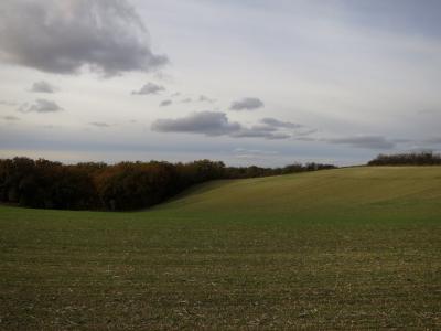 photograph “XI.2016” par David Farreny — www.farreny.net — France, champ, field, automne, fall, autumn, campagne, countryside, paysage, landscape, bois, wood, nuages, clouds, ciel, sky, vide, empty, emptiness, Occitanie, Gascogne, Gers, Jegun