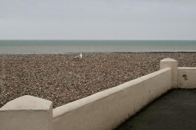 photograph “V.2013” par David Farreny — www.farreny.net — Royaume-Uni, United Kingdom, Grande-Bretagne, Great Britain, Angleterre, England, UK, GB, Sussex, West Sussex, Worthing, front de mer, seafront, plage, beach, galets, pebbles, shingle, mer, sea, Manche, Channel, horizon, eau, water, mouette, seagull, oiseau, bird, paysage, landscape, marin, seascape, muret, low wall, bitume, blacktop, asphalte, asphalt