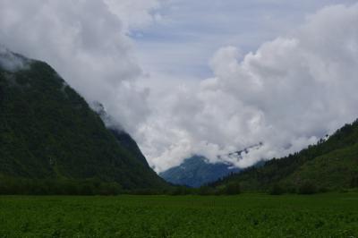 photograph “VI.2019 — Run away to the North, 201” par David Farreny — www.farreny.net — Norvège, Norge, Norway, Vestland, Sogn, Sogndal, Fjærland, Mundal, montagnes, mountains, champ, field, paysage, landscape, nuages, clouds, ciel, sky, arbres, trees, barrière, fence, Skarestad