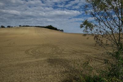 photograph “XI.2020” par David Farreny — www.farreny.net — France, champ, field, paysage, landscape, vide, empty, emptiness, terre, earth, sol, soil, arbre, tree, colline, hill, bois, wood, traces, tracks, nuages, clouds, feuillage, foliage, feuilles, leaves, Occitanie, Gascogne, Gers, Larroque-Saint-Sernin
