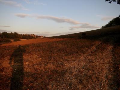 photograph “XI.2016 — Arrival to the village” par David Farreny — www.farreny.net — France, Occitanie, Gascogne, Gascony, Gers, Jegun, automne, autumn, fall, soir, evening, champ, field, chemin, path, campagne, countryside, village, ciel, sky, nuages, clouds, ombre, shadow, photographe, photographer, arbres, trees, maisons, houses, feuilles, leaves, feuillage, foliage, terre, earth, sol, soil, cailloux, stones