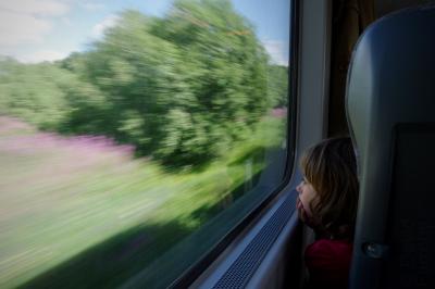 photograph “VII.2014 — Lill’ Lisa (a.k.a. Young Norwegian girl with callunes)” par David Farreny — www.farreny.net — Norvège, Norway, Norge, Nord-Norge, Nordland, Bodø, train, ligne du Nordland, Nordland line, Nordlandsbanen, chemin de fer, railway line, enfant, child, petite fille, little girl, fenêtre, window, verre, vitre, glass, siège, seat, métal, metal, paysage, landscape, arbres, trees, callunes, heathers, flèche, arrow, rêveur, rêveuse, dreamy, dreamer, vitesse, speed, fleurs, flowers