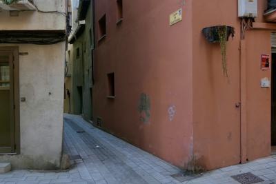 photograph “I.2023” par David Farreny — www.farreny.net — Espagne, España, Espanya, Spain, Catalogne, Cataluña, Catalunya, Lleida, Lérida, Alt Urgell, La Seu d'Urgell, ville, city, ruelle, alley, rue, street, étroite, narrow, plaque, plate, carrer de Sant Nicolau, angle, coin, corner, maisons, houses, portes, doors, fenêtres, windows, balcons, balconies, plante, plant, pot, câbles, cables, fils, wires, panneau, sign, alarme, alarm, tag, graffiti, bite, dick, dallage, paving, ciment, cement