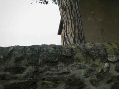 photograph “XI.2012 — Wait” par David Farreny — www.farreny.net — France, Occitanie, Aveyron, Rouergue, Rodez, mur, wall, pierre, stone, maison, joue, toit, roof, fenêtre, window, arbre, tree, tronc, trunk, écorce, bark, branches