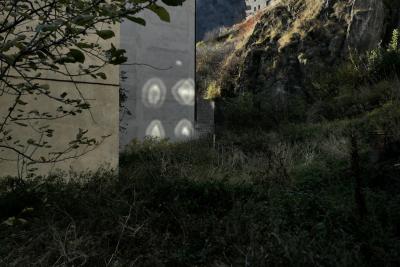 photograph “XI.2021” par David Farreny — www.farreny.net — Andorre, Andorra, Canillo, ville, city, terrain vague, wasteland, herbe, grass, branches, feuillage, foliage, feuilles, leaves, murs, walls, parois, béton, concrete, montagne, mountain, lumière, light, reflet, reflection, yeux, eyes, rocher, rock, parpaings, breeze-blocks, automne, autumn, fall