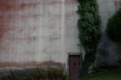 photograph “I.2015” par David Farreny — www.farreny.net — France, mur, wall, traces, marks, pluie, rain, arbustes, shrubs, arbres, trees, feuilles, leaves, feuillage, foliage, porte, door, pierre, stone, bois, wood, Occitanie, Aveyron, Rouergue, Rieupeyroux