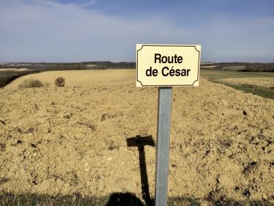 photograph “II.2017” par David Farreny — www.farreny.net — France, Occitanie, Gascogne, Gascony, Gers, Jegun, paysage, landscape, champ, field, terre, earth, sol, soil, panneau, sign, routier, roadsign, route de César, Caesar's road, ombre, shadow, horizon, ligne, line, ciel, sky