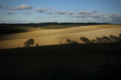 photograph “XI.2017 — Memories of Gascony” par David Farreny — www.farreny.net — France, Occitanie, Gascogne, Gers, Ordan-Larroque, campagne, countryside, paysage, landscape, automne, autumn, fall, collines, hills, champs, fields, horizon, arbres, trees, ombres, shadows, ombre, shadow, Saint-Lary