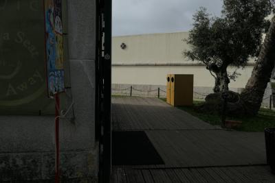 photograph “II.2020” par David Farreny — www.farreny.net — Portugal, Lisbonne, Santa Maria de Belém, Lisbon, Lisboa, Belém, mur, wall, arbre, tree, olivier, olive tree, troncs, trunks, bar, snack, magasin, shop, glaces, ice creams, panneau, sign, take a seat, take away, angle, coin, corner, conteneur, container, recyclage, recycling, tourisme, tourism, métal, metal, pierre, stone, bois, wood, sol, floor