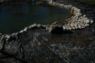 photograph “III.2018” par David Farreny — www.farreny.net — France, Occitanie, Gascogne, Gers, Jegun, Vassevin, étang, pond, eau, water, pierres, stones, plastique, plastic, noir, black, reflet, reflection, arbres, trees, plis, folds, travaux, works