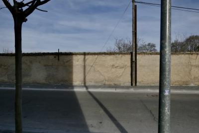 photograph “III.2023” par David Farreny — www.farreny.net — Espagne, España, Spain, Aragon, Aragón, Saragosse, Zaragoza, Ribera Alta del Ebro, Pedrola, rue, street, route, road, asphalte, asphalt, bitume, blacktop, mur, wall, tuiles, tiles, arbre, tree, tronc, trunk, poteaux, posts, poles, électriques, electric, câbles, cables, fils, wires, métal, metal, bois, wood, autocollant, sticker, visage, face, ombre, shadow, ciel, sky, trottoir, pavement