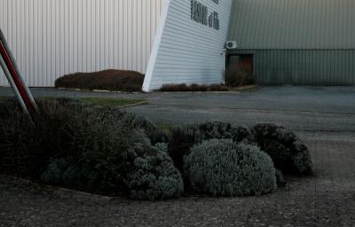 photograph “XII.2011” par David Farreny — www.farreny.net — France, industrie, industry, tôle ondulée, corrugated iron, métal, metal, plantes, plants, massif, arbustes, shrub, shrubbery, enseigne, sign, porte, door, Occitanie, Aveyron, Rouergue, Olemps