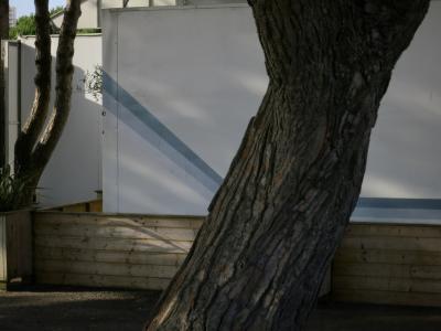 photograph “VII.2015” par David Farreny — www.farreny.net — France, Poitou-Charentes, Charente-Maritime, Royan, arbres, trees, tronc, trunk, bungalow, planches, planks, rayon, beam, plante, plant, paroi, wall, bois, wood