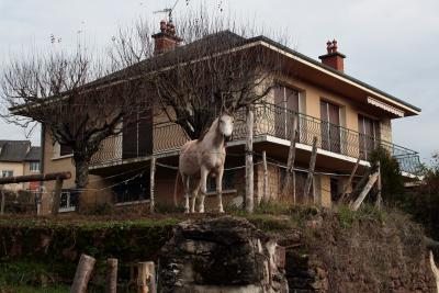 photograph “XII.2009 — Horse, shack” par David Farreny — www.farreny.net — France, Occitanie, Rouergue, Aveyron, Rodez, Le Monastère, maison, house, cheval, horse, baraque, shack, arbres, trees, hiver, winter, clôture, fence, balcon, balcony, cube