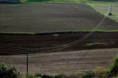 photograph “X.2020” par David Farreny — www.farreny.net — France, campagne, countryside, champs, fields, colline, hill, terre, earth, sol, soil, automne, autumn, fall, poteaux, poles, électriques, électricité, electricity, fils, wires, câbles, cables, arbres, trees, clôture, fence, herbe, grass, sillons, furrows, Occitanie, Gascogne, Gers, Mirannes