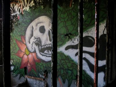 photograph “VIII.2015” par David Farreny — www.farreny.net — France, usine, factory, abandonnée, abandoned, graffiti, tag, art, crâne, skull, tête, head, mort, death, barreaux, bars, métal, metal, rouille, rust, rusty, fleur, flower, mur, wall, feuilles, leaves, feuillage, foliage, peinture, painting, fresque, fresco, Occitanie, Tarn, Blaye-les-Mines