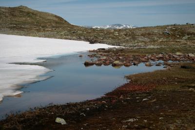 photograph “VII.2012 — Run away to the North, 65” par David Farreny — www.farreny.net — Norvège, Norway, Norge, Hardangervidda, Buskerud, Hordaland, Fagerheim, Halne, plateau, paysage, landscape, rochers, rocks, pierre, stone, collines, hills, neige, snow, eau, water, glace, ice, lac, lake, montagne, mountain, herbe, grass, névé, firn