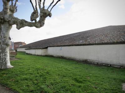 photograph “XII.2024” par David Farreny — www.farreny.net — France, Occitanie, Gascogne, Gascony, Lomagne, Tarn-et-Garonne, Beaumont-de-Lomagne, village, bourgade, town, bâtiment, building, surface, toit, roof, grand, wide, large, tuiles, tiles, mur, wall, ciment, cement, herbe, grass, arbre, tree, platane, plane tree, branches, banc, bench, panneau, sign