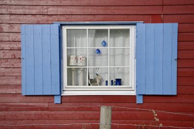 photograph “VII.2014 — Run away to the North, 110” par David Farreny — www.farreny.net — Norvège, Norway, Norge, Nordland, Lofoten, Vestvågøy, Unstad, Unstadvika, maison, house, bois, wood, planches, planks, rouge, red, Falun, Falu, peinture, paint, fenêtre, window, volets, shutters, bleu, blue, verre, vitre, glass, lampes, lamps, bougies, chandelles, candles, broc, pitcher, rideau, curtain, vache, cow, poteau, post, pole, fil de fer, barbelé, barbed, wire, carte postale, postcard