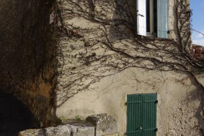 photograph “XII.2020 — Faces of home, 118” par David Farreny — www.farreny.net — France, Occitanie, Gard, La Capelle-et-Masmolène, village, maison, house, façade, facade, angle, coin, corner, pierre, stone, fenêtre, window, porte, door, volets, shutters, lierre, ivy, pots, hiver, winter, domicile, home