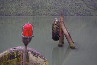 photograph “VI.2019 — Run away to the North, 189” par David Farreny — www.farreny.net — Norvège, Norway, Norge, Vestlandet, Sogn og Fjordane, Sogndal, Fjærland, fjord, eau, water, reflet, reflection, structure, métal, metal, pneu, tire, tyre, rouille, rust, rusty, mouette, gull, seagull, oiseau, bird, animal, lampe, lamp, rouge, red, mousse, moss, bois, wood, forêt, forest, pente, slope, rive, bank, port, harbour, harbor