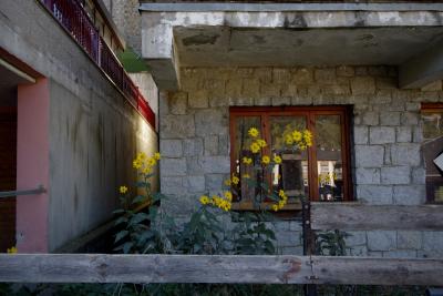 photograph “X.2021 — Faces of home, 126” par David Farreny — www.farreny.net — Andorre, Andorra, La Massana, immeuble, bâtiment, building, béton, concrete, pierre, stone, balcons, balconies, terrasse, terrace, fenêtre, window, passage, rambarde, guardrail, vitre, verre, glass, bois, wood, lumière, light, soleil, sun, fleurs, flowers, jaunes, yellow, reflet, reflection, ville, city, barrière, fence, feuilles, leaves, foliage, feuillage, métal, metal, domicile, home