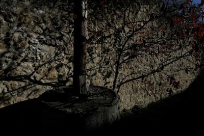 photograph “XI.2017 — Headache” par David Farreny — www.farreny.net — France, Occitanie, Gascogne, Gascony, Gers, Valence-sur-Baïse, mur, wall, pierre, stone, arbre, tree, branches, poteau, post, pole, bois, wood, béton, concrete, ombre, shadow, profusion