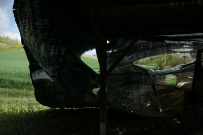 photograph “IV.2019” par David Farreny — www.farreny.net — France, campagne, countryside, champ, field, blé, corn, arbres, trees, bâche, cover, sheet, plastique, plastic, déchirée, torn, trous, holes, abri, shed, herbe, grass, noir, black, Gascogne, Occitanie, Gers, Jegun