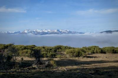 photograph “XII.2022 — Perdut” par David Farreny — www.farreny.net — Espagne, España, Spain, Catalogne, Catalunya, Cataluña, Catalonia, Catalonha, Lleida, Lérida, Alt Urgell, Les Valls d'Aguilar, Pyrénées, Pyrenees, paysage, landscape, perdu, lost, plateau, montagnes, mountains, nature, arbustes, shrubs, nuages, clouds, ciel, sky, hiver, winter, Tahús, La Guàrdia d'Ares