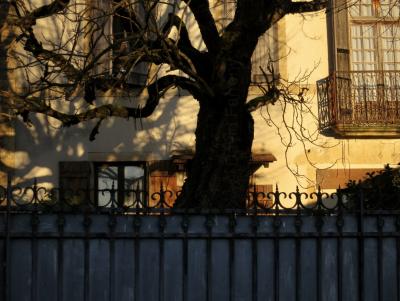 photograph “XII.2016 — Faces of home, 150” par David Farreny — www.farreny.net — France, Occitanie, Gascogne, Gers, Aignan, maison, house, village, fenêtres, windows, balcon, balcony, volets, shutters, bois, wood, clôture, fencing, arbre, tree, tronc, trunk, branches, hiver, winter, pierre, stone, ombre, shadow, métal, metal, domicile, home