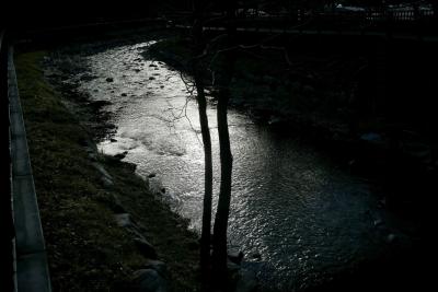 photograph “XII.2023” par David Farreny — www.farreny.net — Andorre, Andorra, Canillo, rivière, river, Valira, Valira d'Orient, eau, water, hiver, winter, rive, shore, arbres, trees, troncs, trunks, rambarde, guardrail, métal, metal, branches, branchages, rochers, rocks