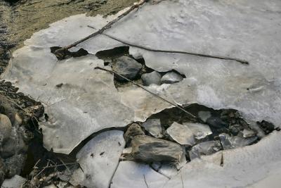 photograph “II.2023 — Daily life of three winters” par David Farreny — www.farreny.net — Andorre, Andorra, Canillo, hiver, winter, rivière, river, Valira, Valira d'Orient, eau, water, glace, ice, rochers, rocks, branches, banalité, banality, froid, cold