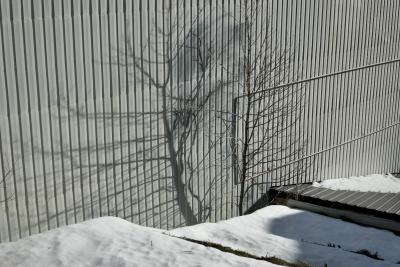 photograph “XII.2021” par David Farreny — www.farreny.net — Andorre, Andorra, Canillo, mur, paroi, wall, tôle ondulée, corrugated iron, métal, metal, arbre, tree, ombre, shadow, neige, snow, toit, roof, hiver, winter, tuyau, pipe, branches