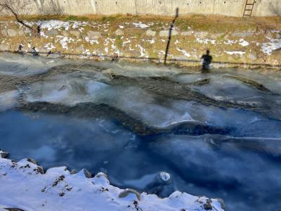 photograph “I.2024” par David Farreny — www.farreny.net — Andorre, Andorra, Canillo, rivière, river, Valira, Valira d'Orient, ice, glace, eau, water, hiver, winter, rive, shore, neige, snow, pierres, stones, paroi, wall, mur, béton, concrete, échelle, ladder, métal, metal, arbre, tree, ombre, shadow, photographe, photographer, homme, man