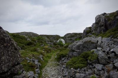 photograph “VI.2019 — Run away to the North, 136. Hordaland (det.)” par David Farreny — www.farreny.net — Norvège, Norway, Norge, Hordaland, Austevoll, Stolmen, Våge, île, island, maison, house, blanche, white, bois, wood, rochers, rocks, chemin, path, isolé, isolated, arbre, tree, sapin, fir, paix, peace, paysage, landscape