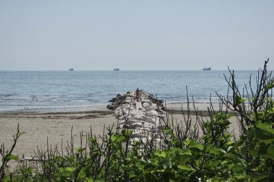 photograph “V.2022 — Three women, three cargo ships” par David Farreny — www.farreny.net — Italie, Italia, Italy, Vénétie, Veneto, Venise, Venice, Venezia, Venexia, Lido, plage, beach, mer, sea, lagune, lagoon, Adriatique, Adriatic, eau, water, haie, hedge, baigneuses, bathers, bateaux, boats, horizon, ligne, line, feuilles, leaves, feuillage, foliage, cargos, cargo ships, navires, ships, femmes, women, vacancières, touristes, vacationers, tourists, vagues, waves, sable, sand, épi, groyne, brise-lame, breakwater, rochers, rocks, paysage, landscape, marin, seascape