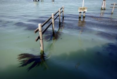 photograph “V.2022” par David Farreny — www.farreny.net — Italie, Italia, Italy, Vénétie, Veneto, Venise, Venice, Venezia, Venexia, Lagune de Venise, Laguna di Venezia, Venetian Lagoon, mer, sea, Adriatique, Adriatic, eau, water, algues, algae, ponton, pontoon, bois, wood, vagues, waves, béton, concrete