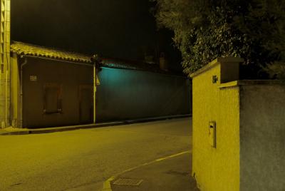 photograph “X.2022” par David Farreny — www.farreny.net — France, Occitanie, Haute-Garonne, Toulouse, nuit, night, automne, autumn, fall, rue, street, bitume, blacktop, asphalte, asphalt, ville, city, carrefour, crossroads, feu rouge, traffic light, vert, green, bâtiment, building, toit, roof, tuiles, tiles, poteau, post, pole, muret, low wall, trottoir, pavement, numéro, number, 156, boîte à lettres, mailbox, angle, coin, corner, arbre, tree, gouttière, drainpipe, câble, cable, fil, wire, lumière, light