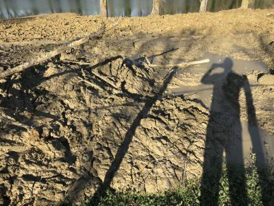 photograph “I.2018 — Old self” par David Farreny — www.farreny.net — France, Occitanie, Gascogne, Gascony, Gers, Jegun, champ, field, étang, pond, eau, water, arbres, trees, troncs, trunks, terre, earth, sol, soil, boue, mud, herbe, grass, ombre, shadow, photographe, photographer, autoportrait, selfportrait, poteaux, posts, poles, reflet, reflection