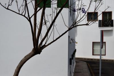 photograph “V.2016 — Lancerotte, 24” par David Farreny — www.farreny.net — Espagne, Spain, España, Canaries, Canary, Canarias, Lanzarote, Lancerotte, île, island, Playa Blanca, rue, street, arbre, tree, branches, mur, wall, blanc, white, immeubles, bâtiments, buildings, panneau, roadsign, balcon, balcony, vélo, bike, bicyclette, bicycle, fenêtres, windows, tronc, trunk, fleurs, flowers, grille, railings, trottoir, pavement, béton, concrete, bitume, blacktop, asphalte, asphalt