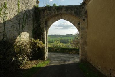 photograph “IV.2025” par David Farreny — www.farreny.net — France, Occitanie, Gascogne, Gascony, Lomagne, Gers, Tournecoupe, village, porte, door, ogive, pierre, stone, mur, wall, ombre, shadow, paysage, landscape, campagne, countryside, champs, fields, arbres, trees, arbuste, shrub, lierre, ivy, herbe, grass, muret, low wall, nuages, clouds, carte postale, postcard