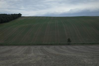 photograph “X.2018” par David Farreny — www.farreny.net — France, Occitanie, Gascogne, Gascony, Gers, colline, hill, champ, field, automne, autumn, fall, arbre, tree, arbres, trees, bois, wood, campagne, countryside, nuages, clouds, sillons, furrows, paysage, landscape, terre, earth, sol, soil