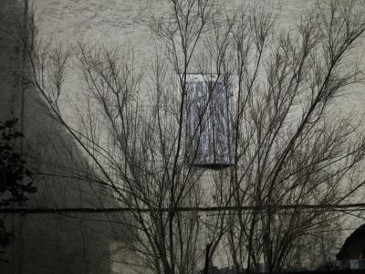 photograph “III.2025 — Whatever” par David Farreny — www.farreny.net — France, Occitanie, Gascogne, Gascony, Lomagne, Gers, Saint-Clar, village, maison, house, mur, wall, ciment, cement, gris, grey, gray, fenêtre, window, volets, shutters, bois, wood, ombre, shadow, arbres, trees, dépression, depression