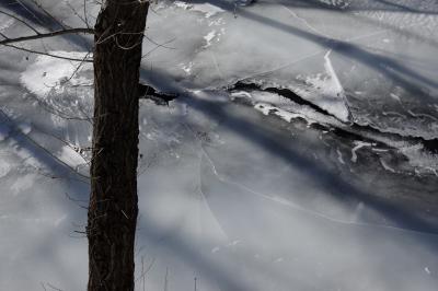 photograph “I.2023” par David Farreny — www.farreny.net — Andorre, Andorra, Canillo, rivière, river, Valira, Valira d'Orient, hiver, winter, glace, ice, eau, water, trous, holes, arbre, tree, tronc, trunk, nature, froid, cold, ombres, shadows