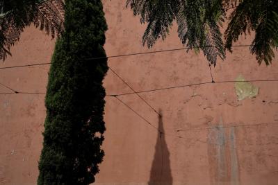 photograph “II.2020” par David Farreny — www.farreny.net — Portugal, Lisbonne, Lisboa, Lisbon, ville, city, capitale, capital, mur, wall, cyprès, cypress, arbre, tree, ombre, shadow, feuillage, foliage, câbles, cables, fils, wires, rugueux, rough, rouge, red