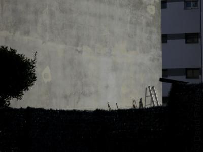 photograph “XII.2016” par David Farreny — www.farreny.net — France, ville, city, hiver, winter, mur, wall, béton, concrete, échelle, ladder, haie, hedge, arbre, tree, bâtiment, immeuble, building, fenêtres, windows, Occitanie, Gascogne, Gers, Auch