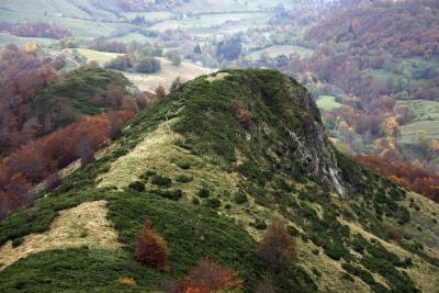 photograph “X.2004” par David Farreny — www.farreny.net — France, Auvergne, Cantal, puy Mary, montagne, mountain, nature, paysage, landscape, forêt, forest, bois, wood, herbe, grass, automne, autumn, fall, carte postale, postcard, barrière, clôture, fence, rondeur, roundness